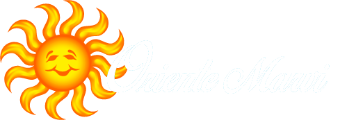 Premium WordPress Template